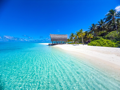 Екскурзия в Шри Ланка и почивка на Малдиви