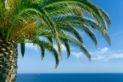 Почивка в Лара, Турция: 7 нощувки със самолет от Бургас във вторник